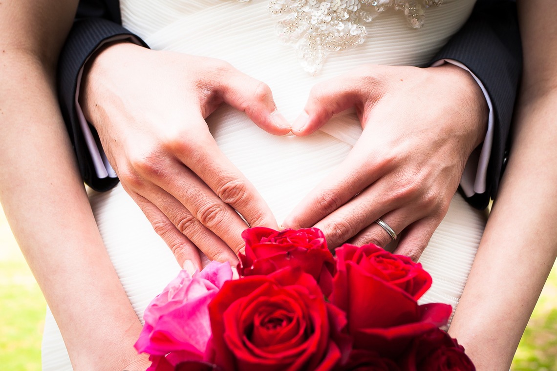 フォトグラフィカが撮影した「フォトギャラリー」の写真