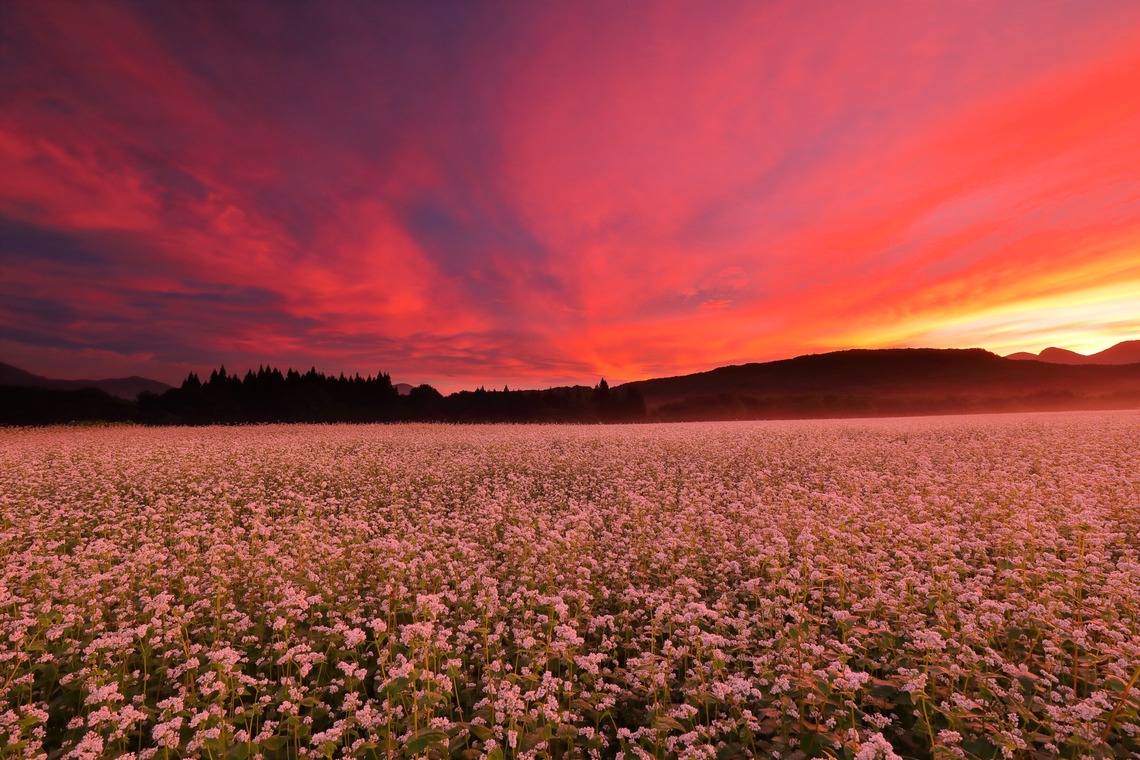 溝口崇が撮影した写真のアルバム「風景写真」