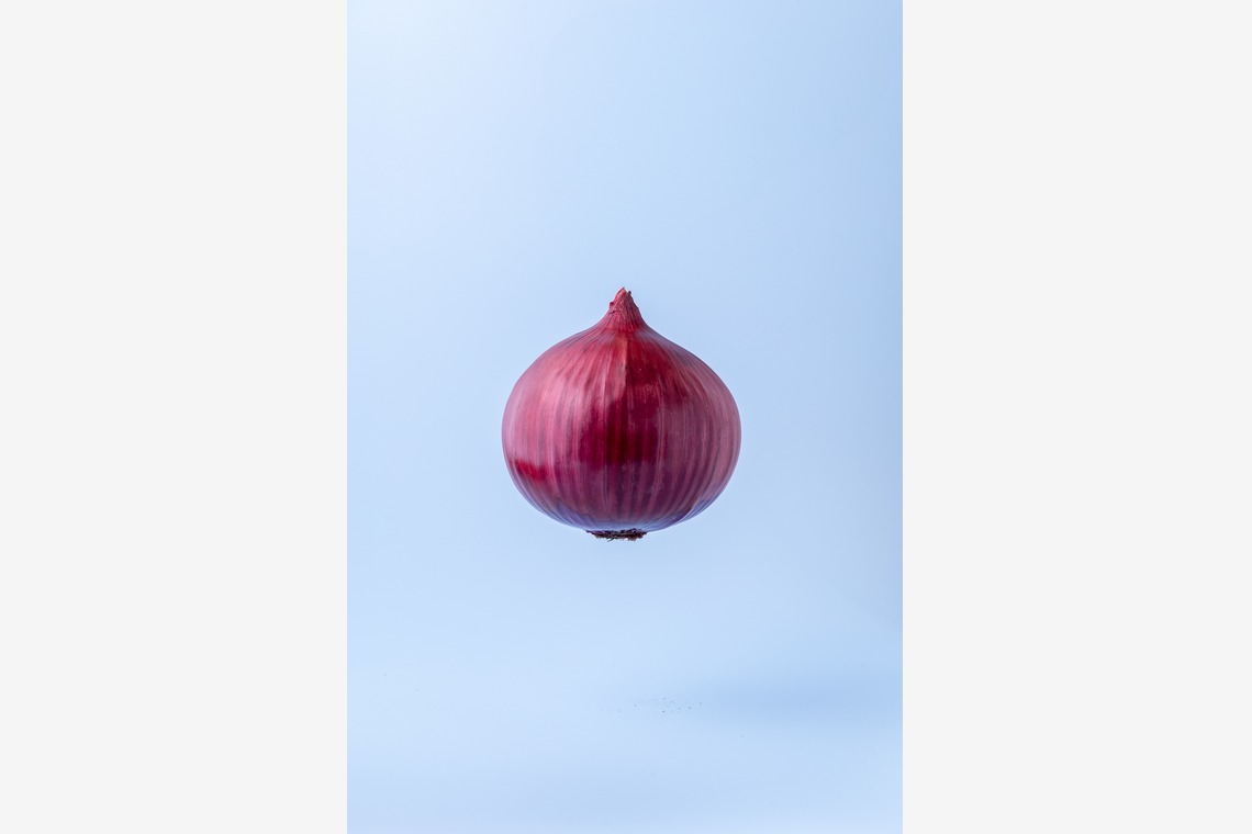 Hiroが撮影した「スタジオ、出張撮影」の写真