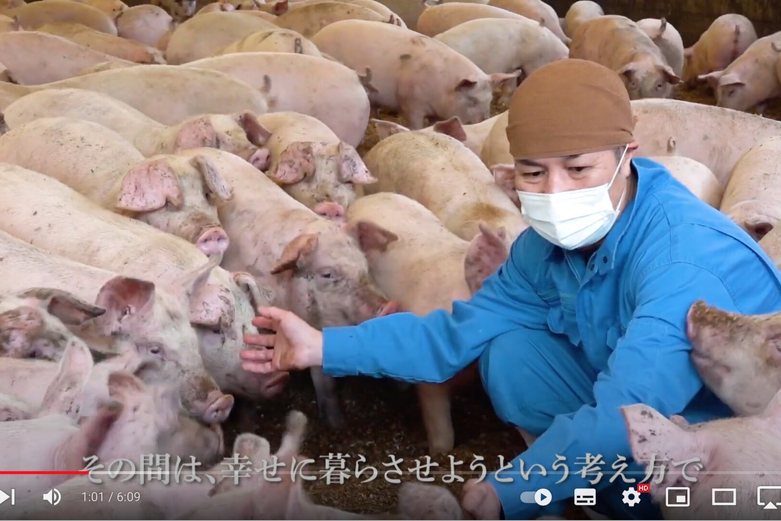 Castella Designが撮影した「YouTube動画」の写真