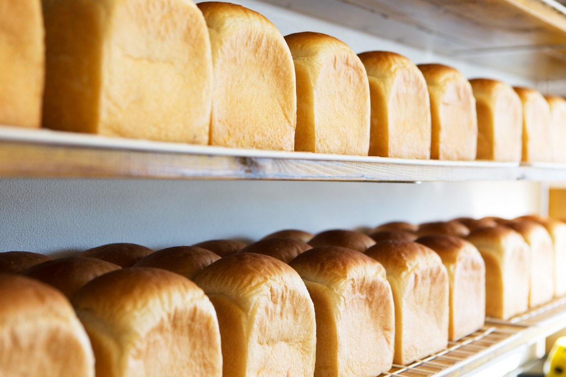 Ryuukiが撮影した写真のアルバム「ブツ撮り」