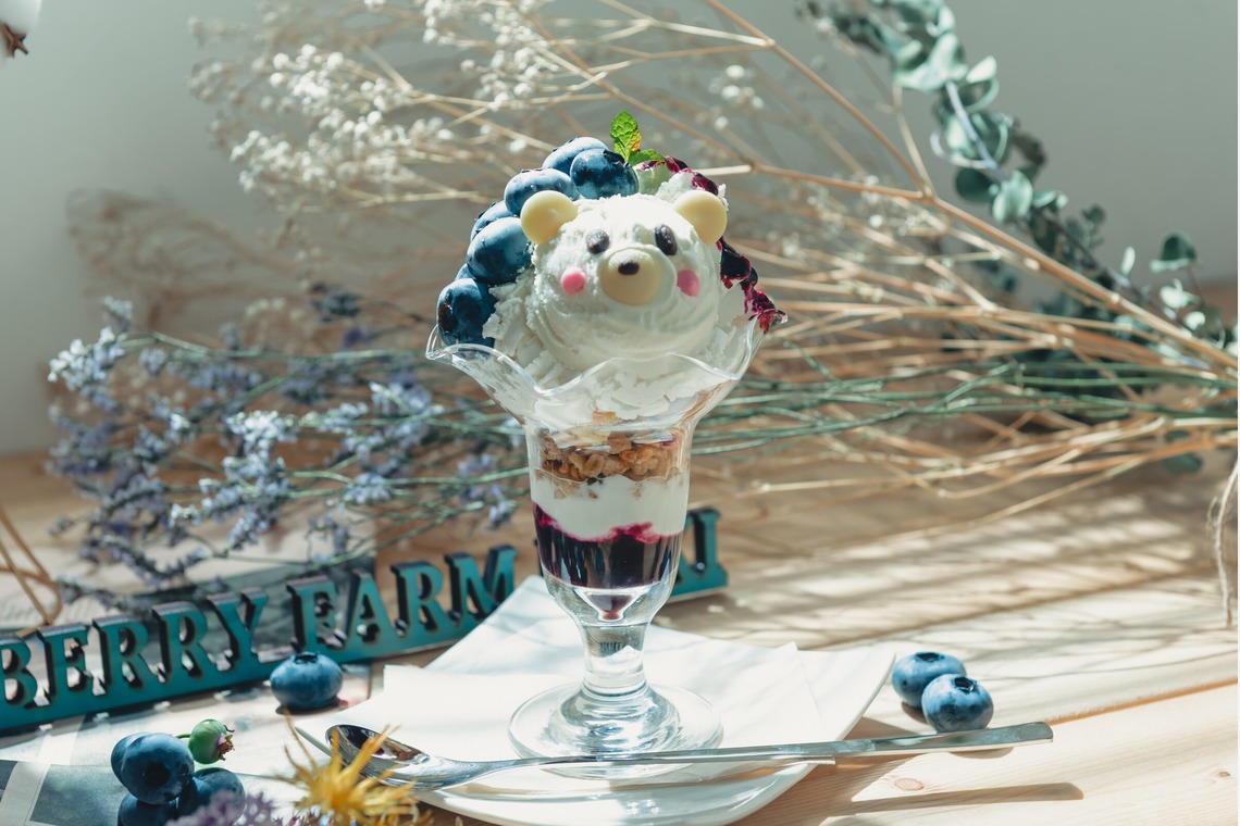 PhotoStudioLink　福井アイラ