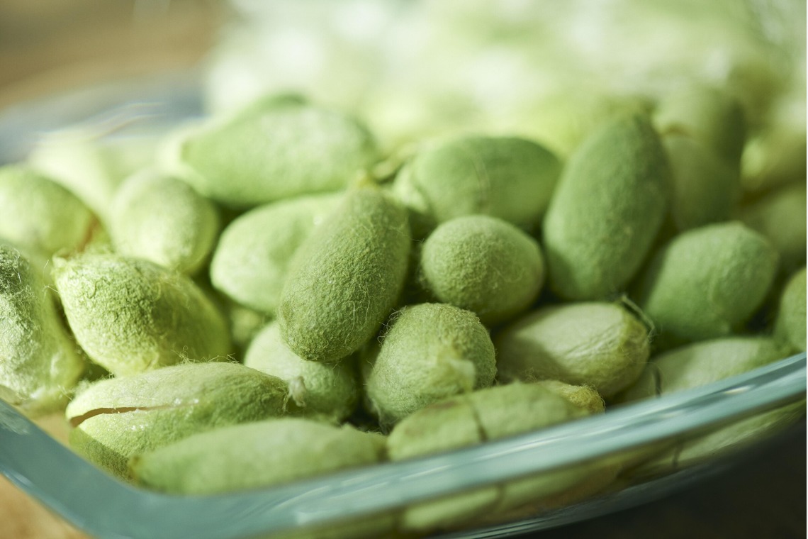 大橋裕紀が撮影した「企業様ホームページ用商品撮影」の写真