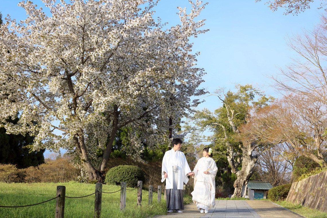 KIKIウェディングが撮影した写真のアルバム「マツダスタジアムと和風庭園」