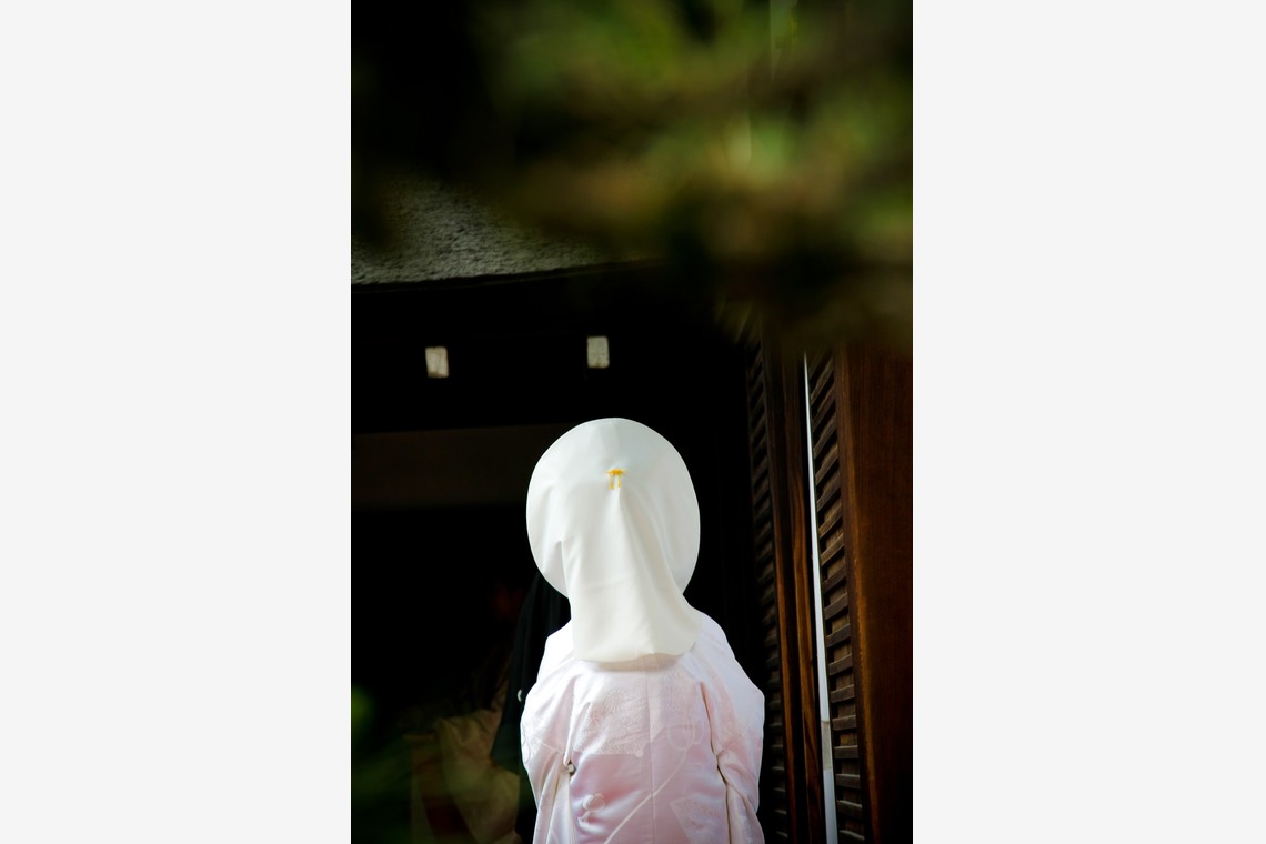 photo office zk (善家 完)が撮影した写真のアルバム「当日写真2」