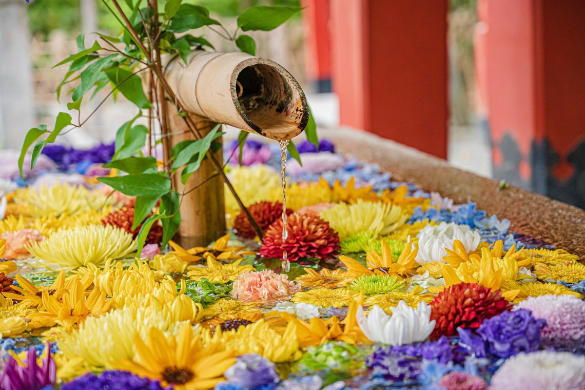 高木勇斗が撮影した「風景　物撮り」の写真
