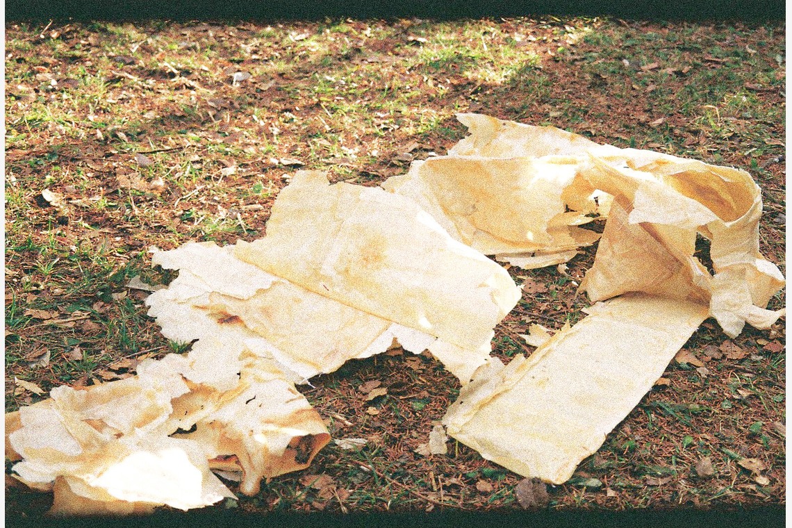 村崎玲巨が撮影した「食べる服　堺」の写真