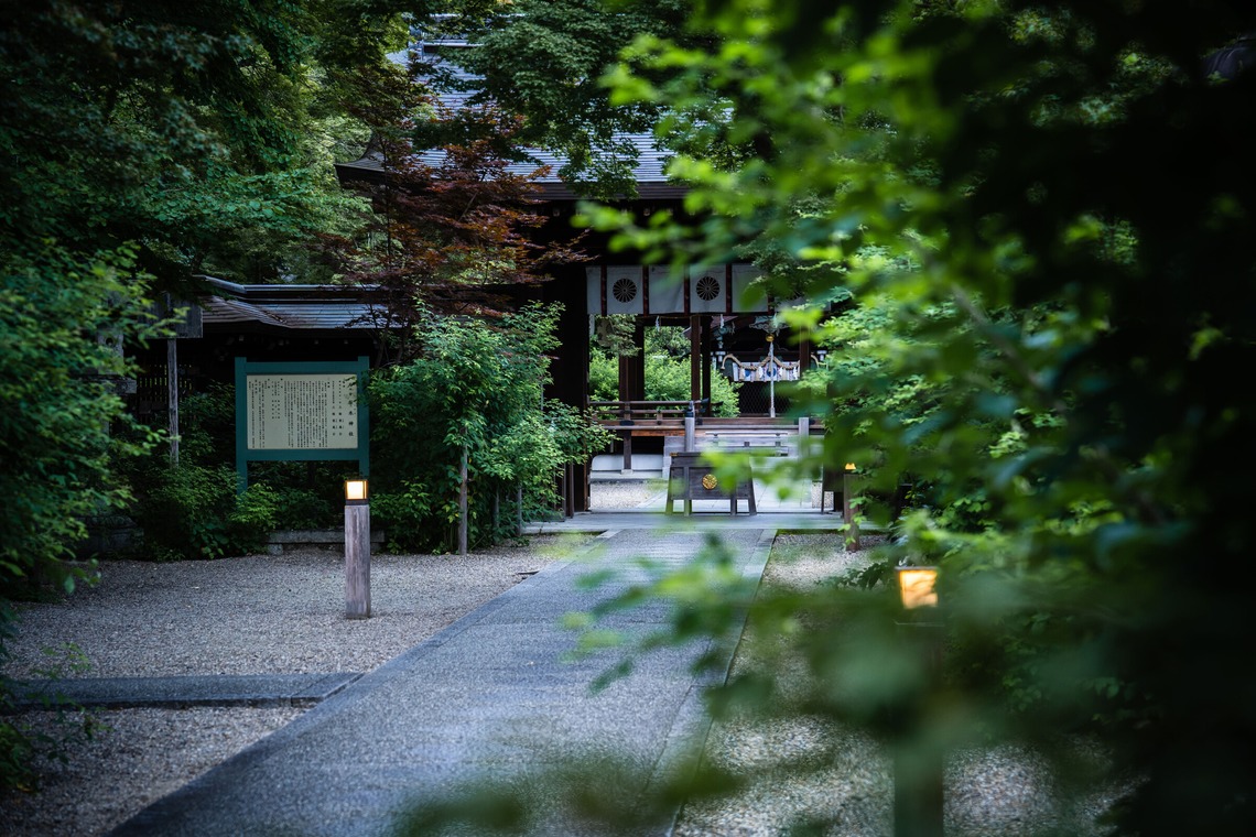 田中愛実が撮影した「DIG THE TEA【WEB記事】」の写真