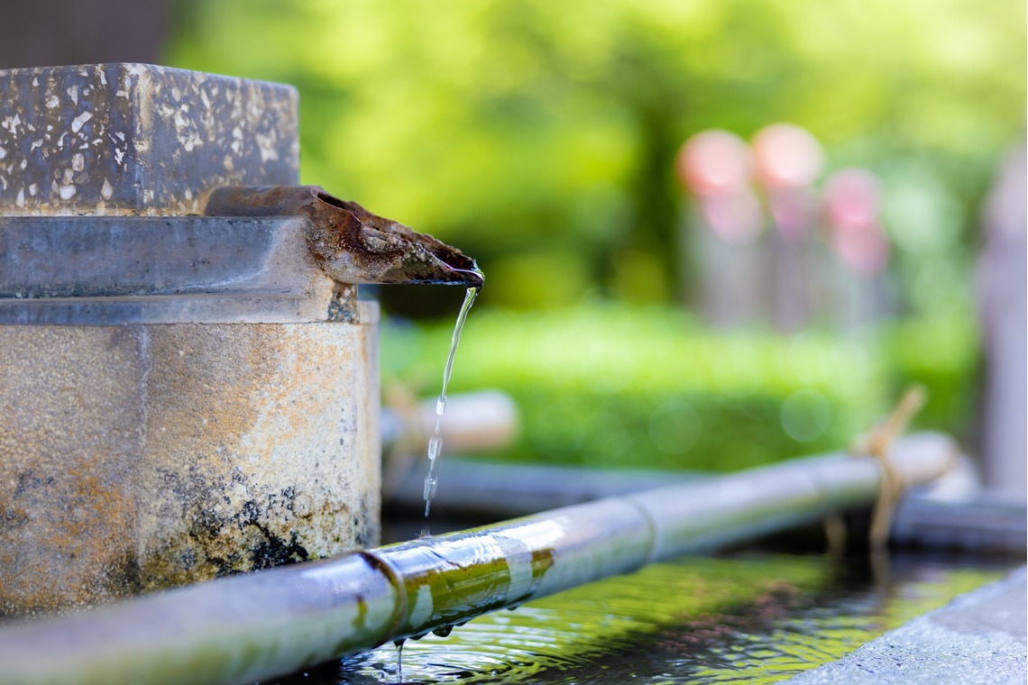 長竹　進吾が撮影した「作例集」の写真
