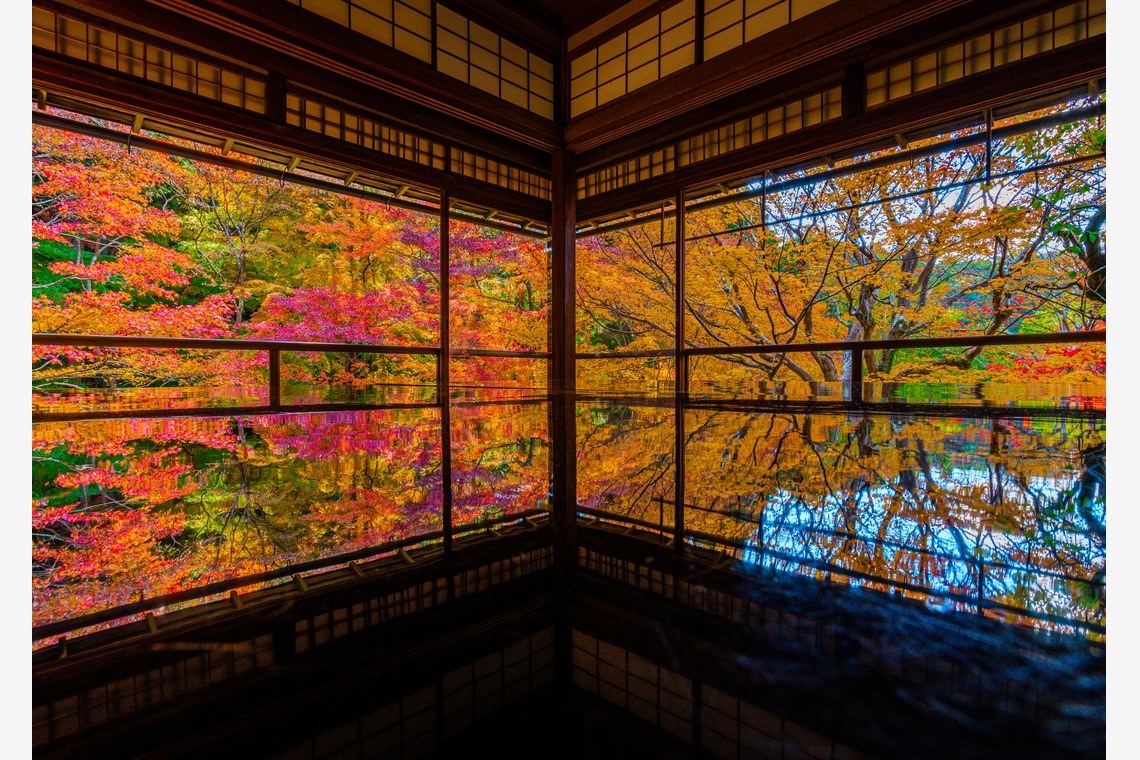 あなたの写真館