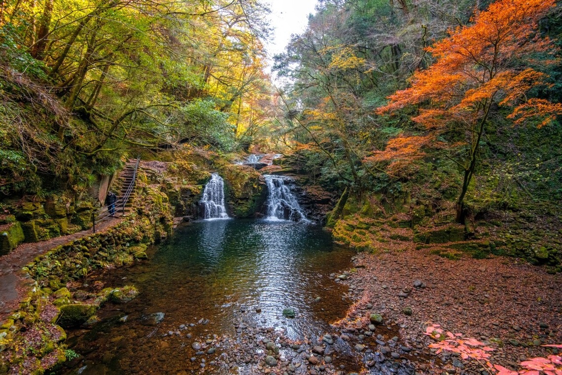 リトルダイナソーが撮影した「風景」の写真