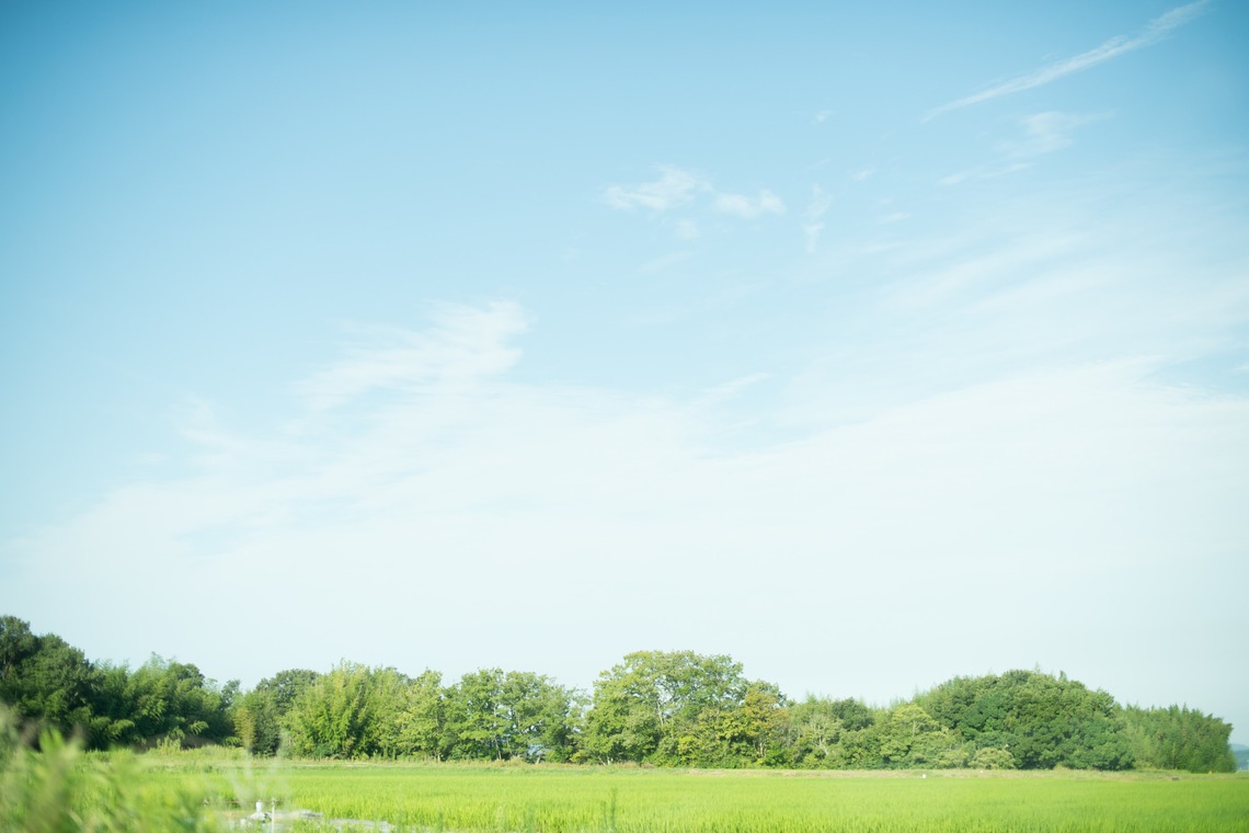 片倉写真事務所が撮影した「エンゲージメントフォト（加古川）」の写真