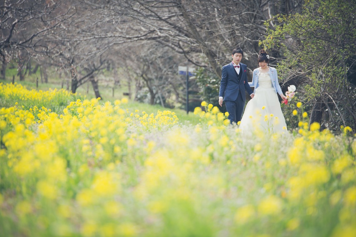 Album of the Wedding, Bridal taken by Takano Kazuki - Spring Japan