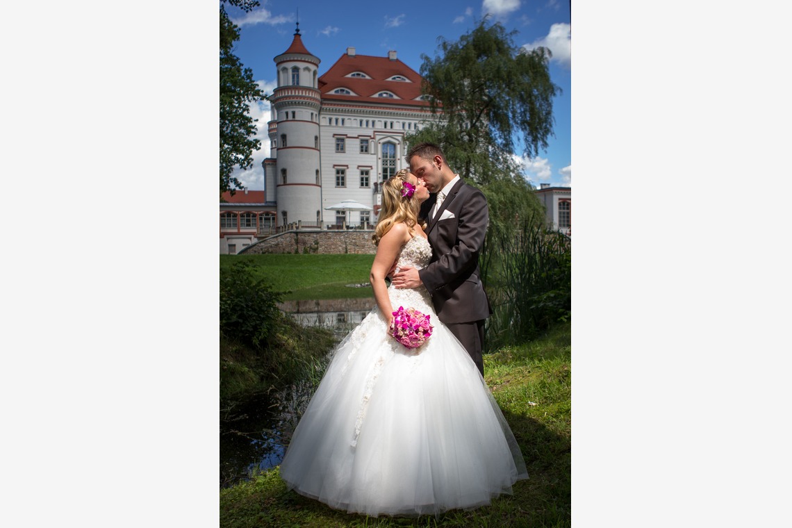 Wedding Photography Dubaiが撮影した「ドバイで???カメ」の写真