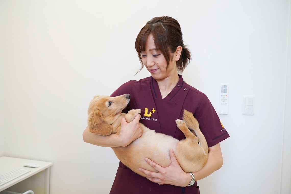 出張撮影くろめっとが撮影した写真のアルバム「動物病院例」