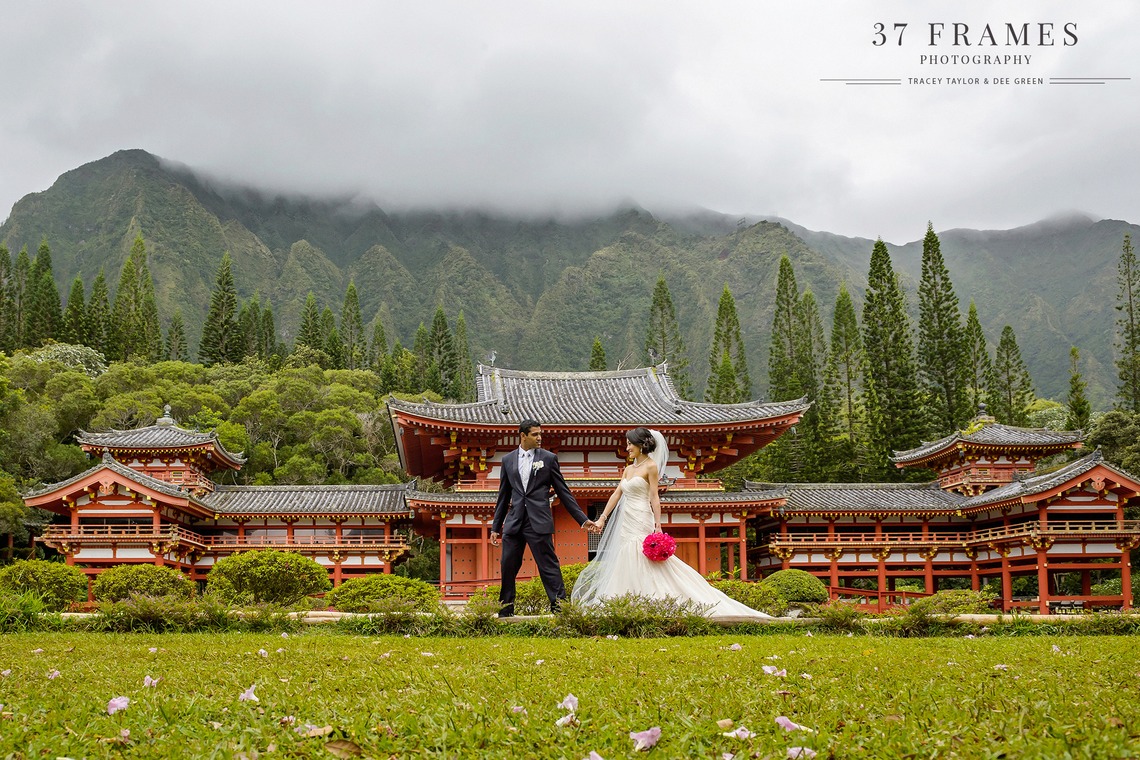 37 Frames Photographyが撮影した「フォトギャラリー」の写真