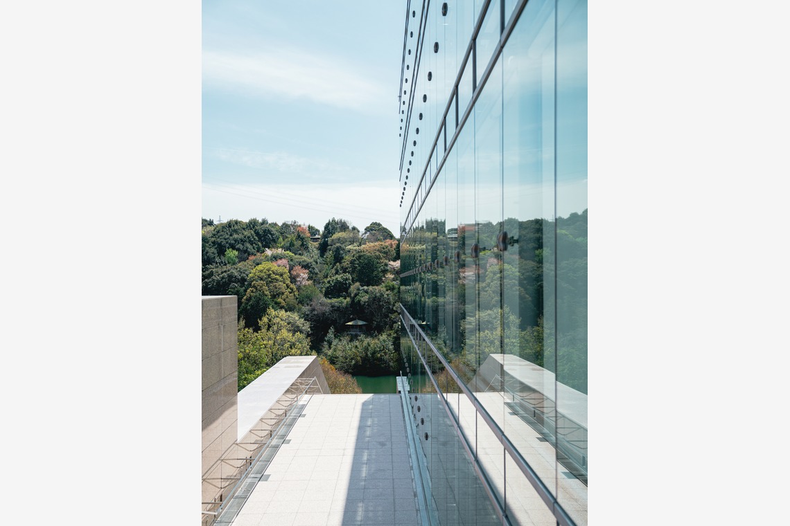 森本海斗が撮影した写真のアルバム「美術館」