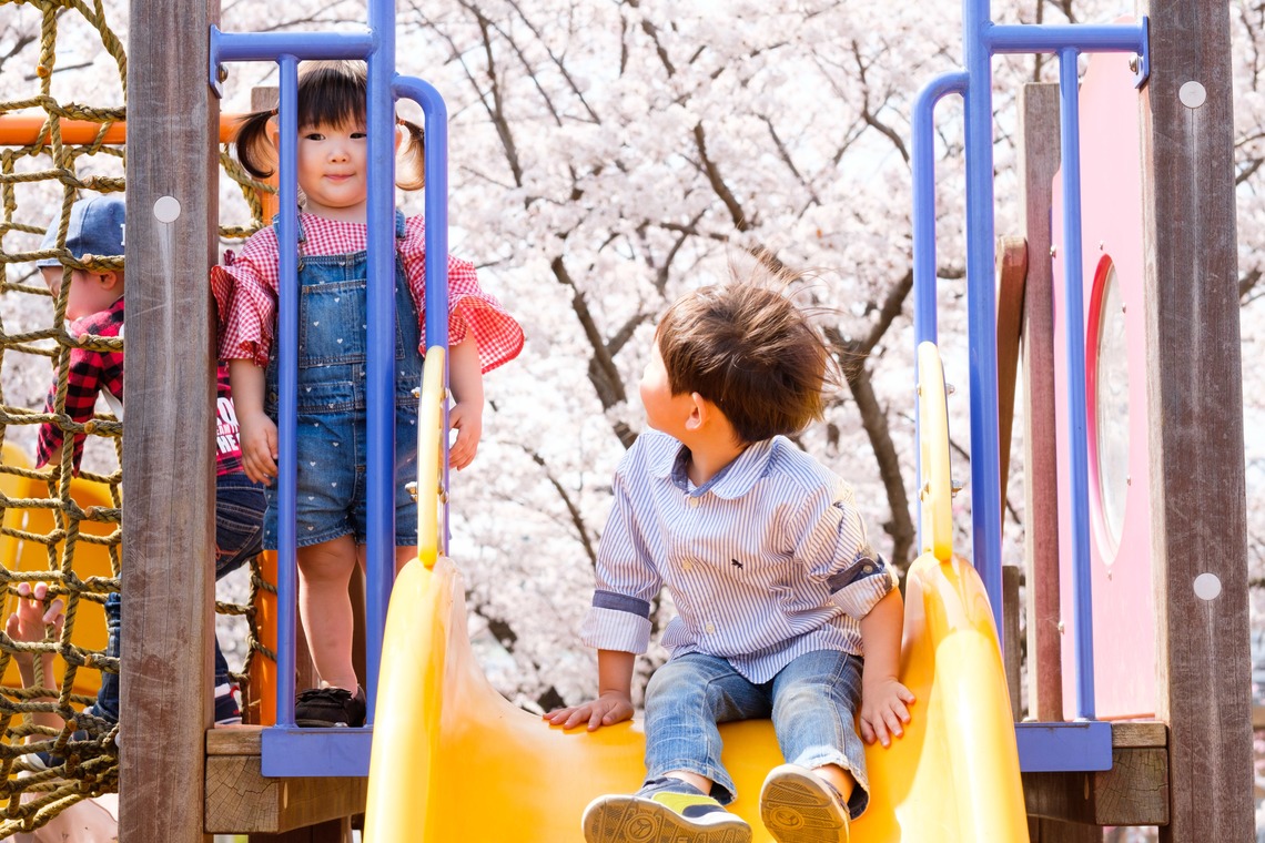 高野和希が撮影した「桜での家族フォト」の写真
