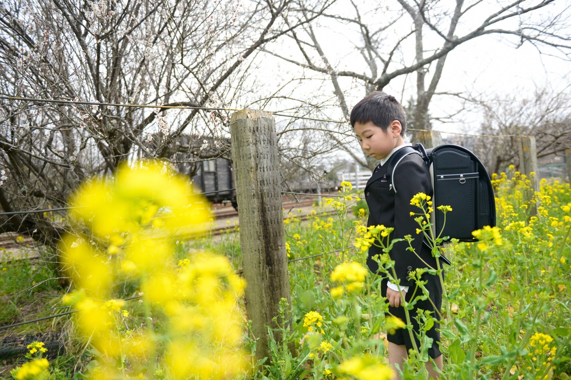 アラタンホヤガが撮影した写真のアルバム「一年生のお祝い」