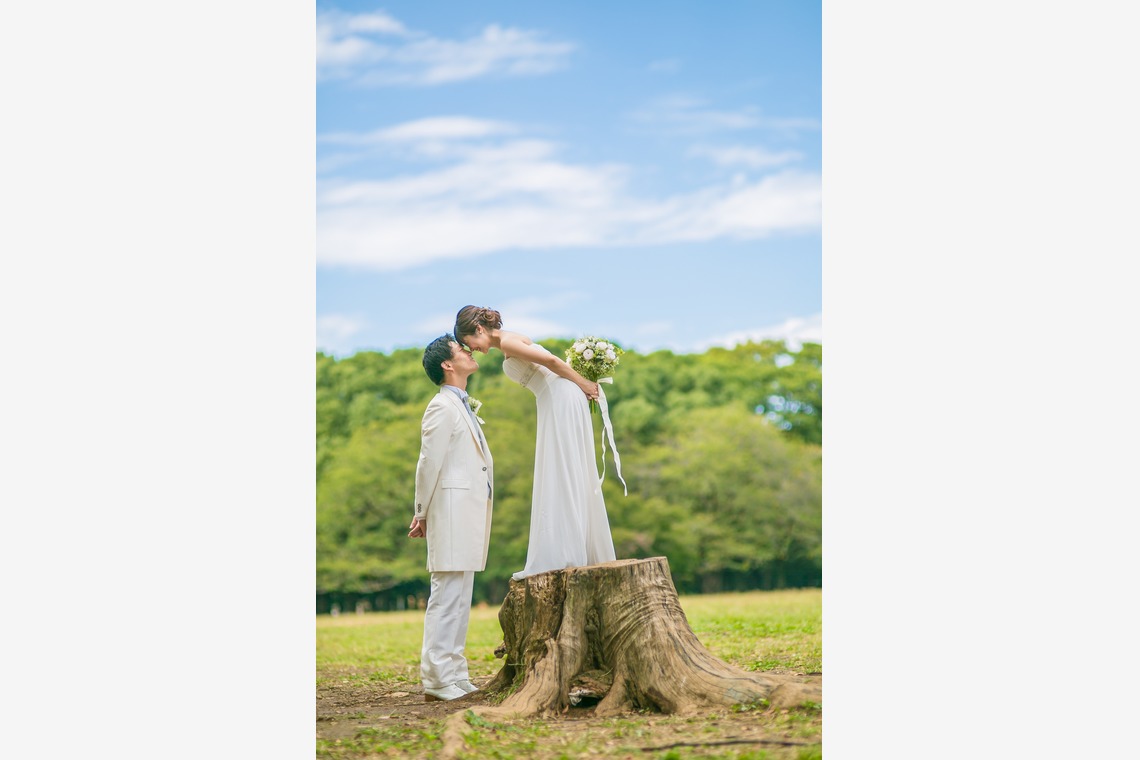 Album of the Wedding, Bridal taken by improve - location album