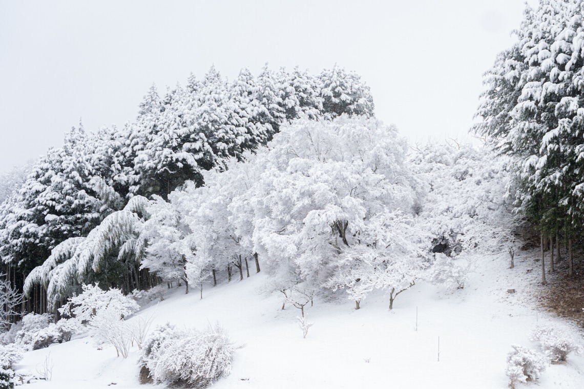 村のくまが撮影した写真のアルバム「風景」