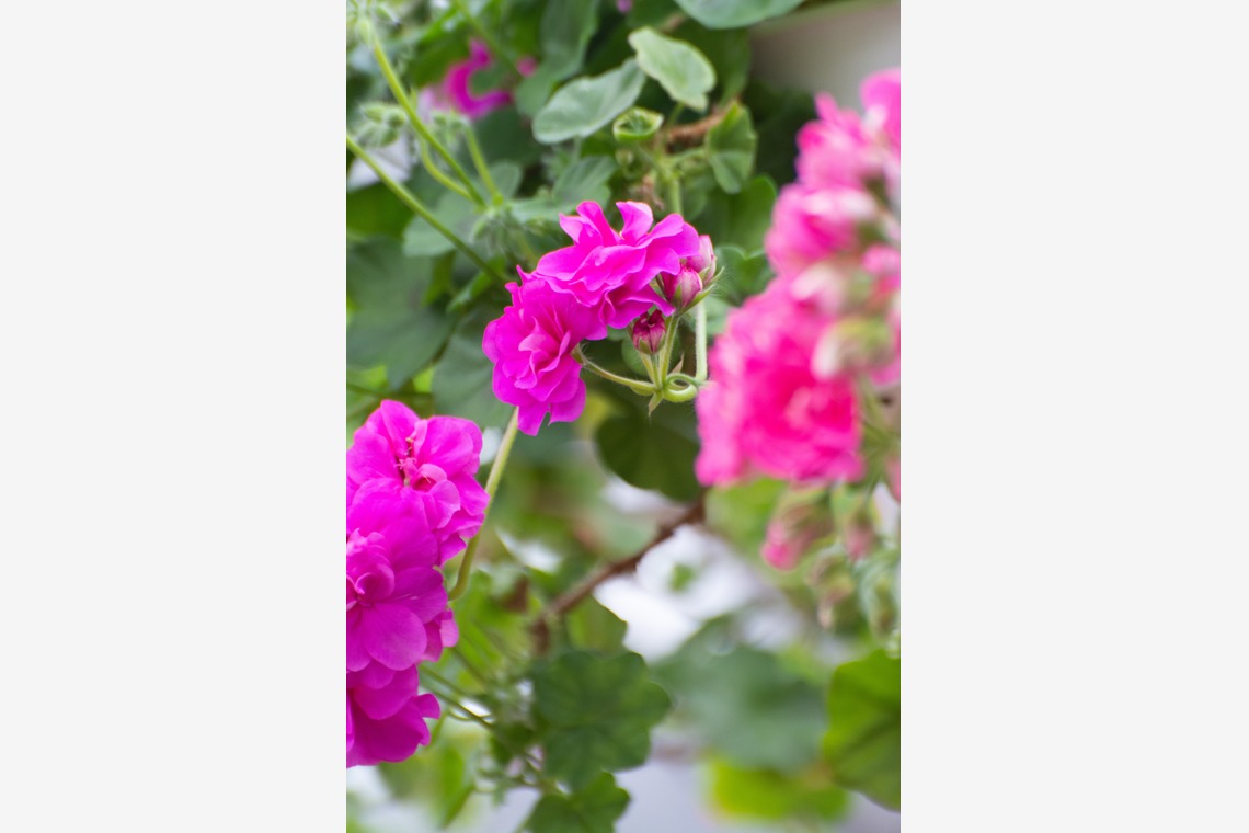 水嶋 将太が撮影した写真のアルバム「思い出。」