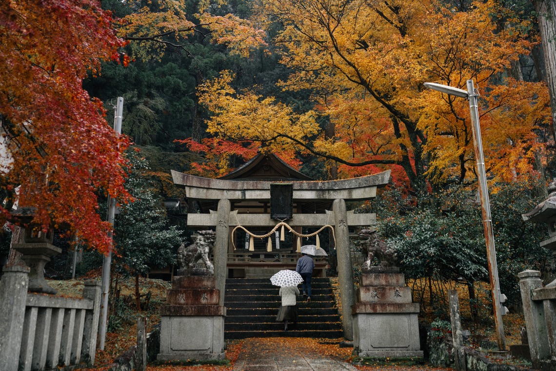 鈴木香那枝が撮影した「京都府中川町の取材撮影」の写真