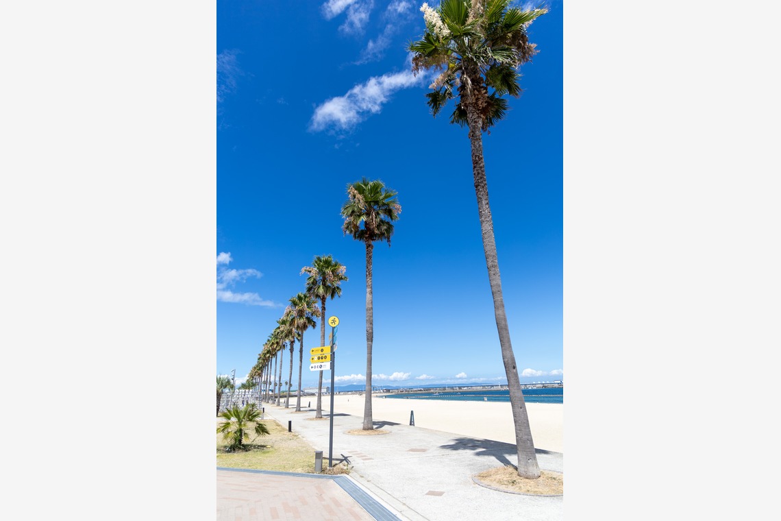 memophotoが撮影した「写真」の写真