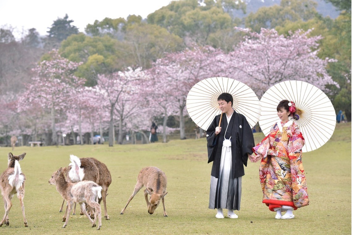 キキフォトワークスが撮影した「桜の季節の和装前撮り」の写真