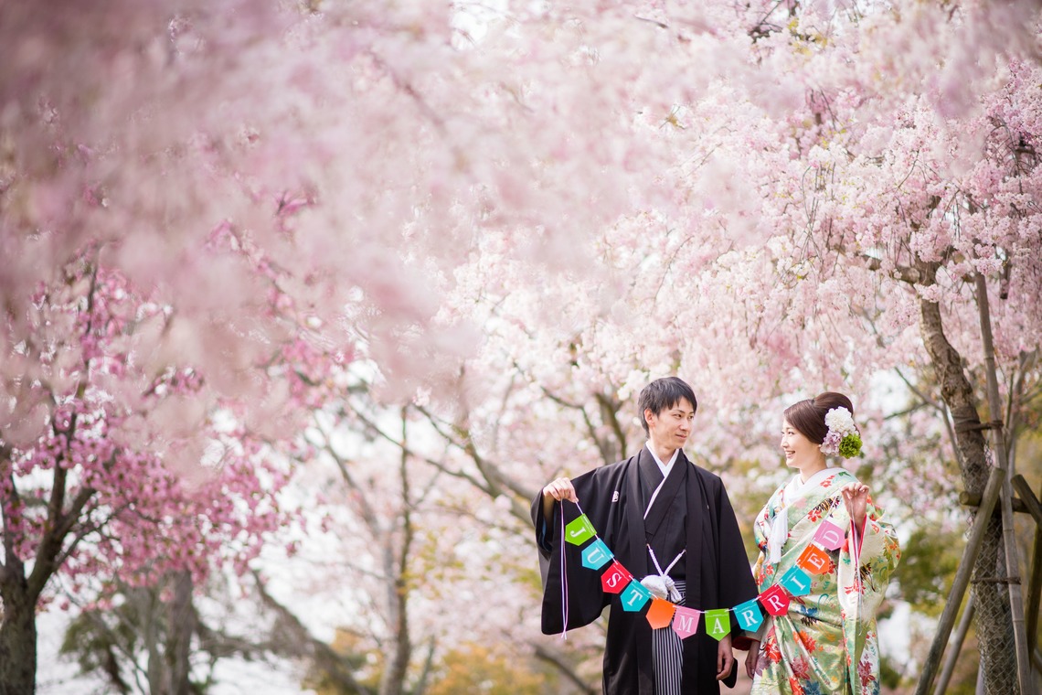 Photo of  taken by studio zero