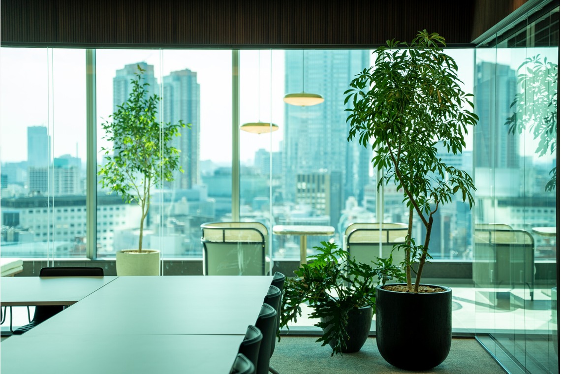 sutto imageが撮影した写真のアルバム「内装竣工写真」