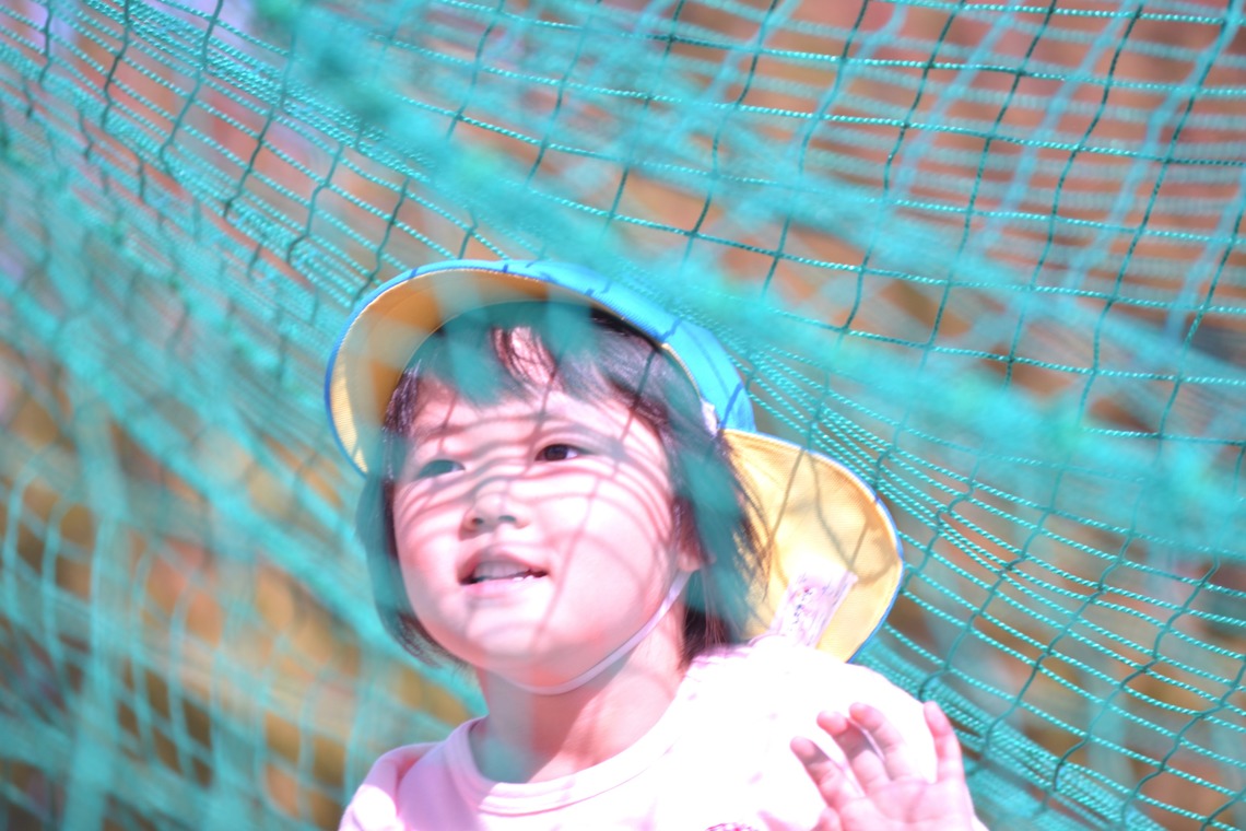 ko1low photographが撮影した「運動会・お遊戯会」の写真