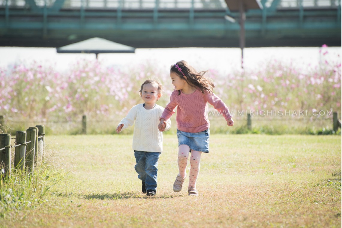 MC-photoが撮影した写真のアルバム「2016_Nov_江戸川区」