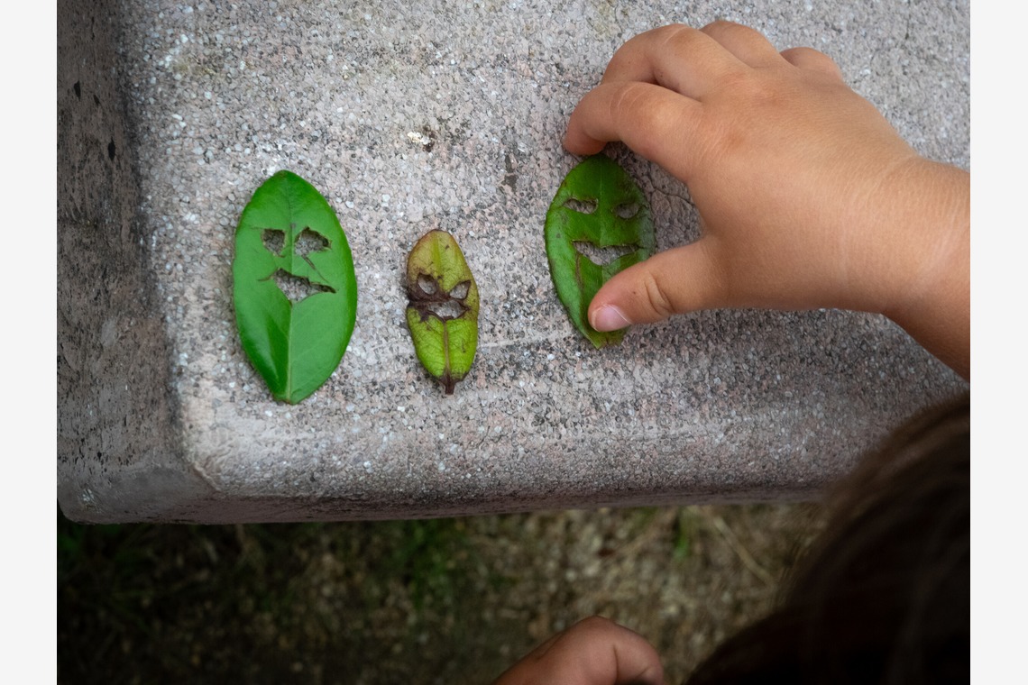 ハイナ　マテウスが撮影した写真のアルバム「親子」