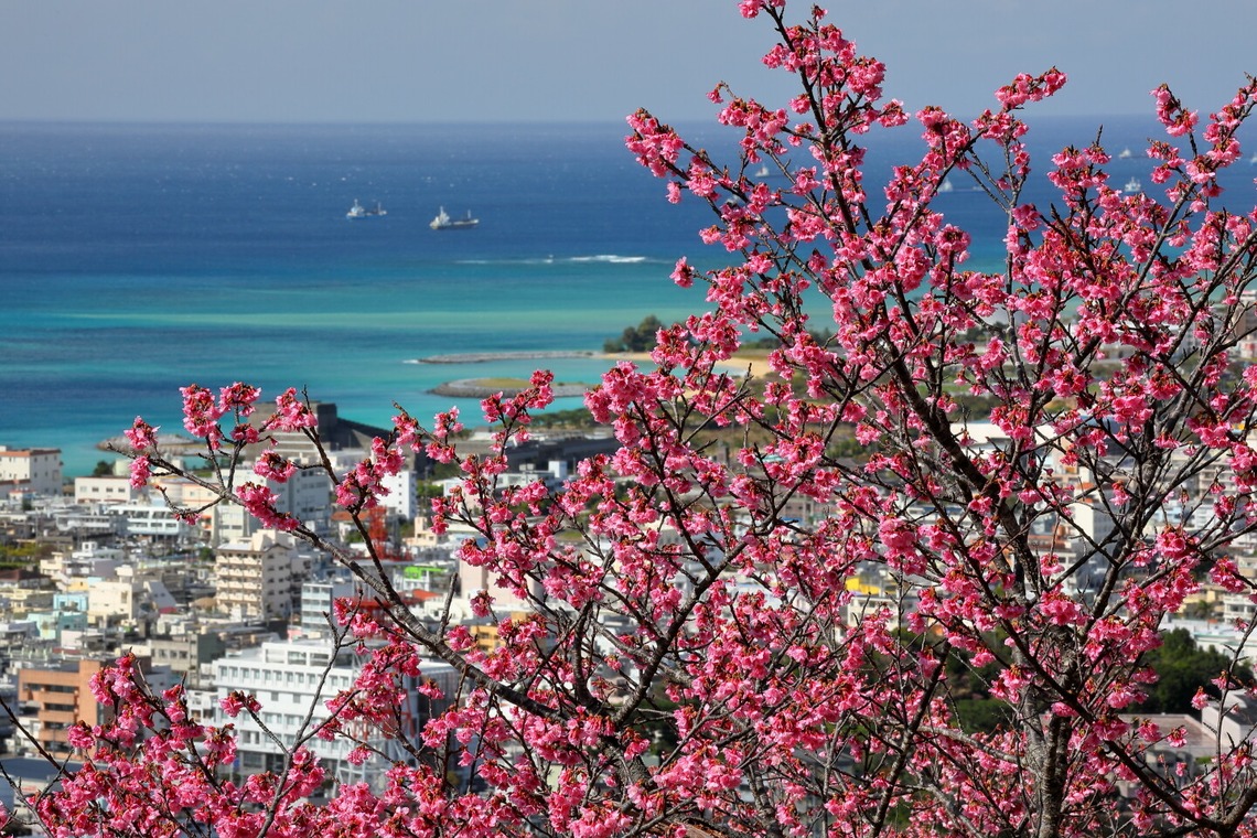 溝口崇が撮影した写真のアルバム「風景写真」
