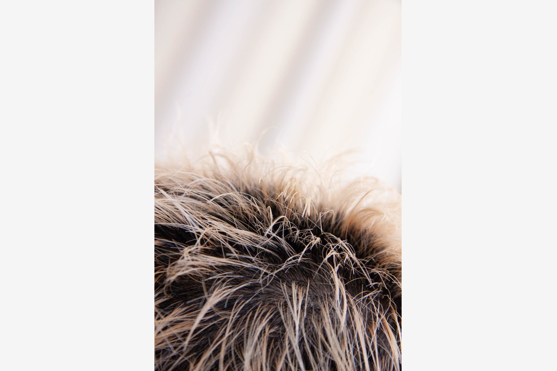 ヨシダミクが撮影した「ポートフォリオ-01」の写真