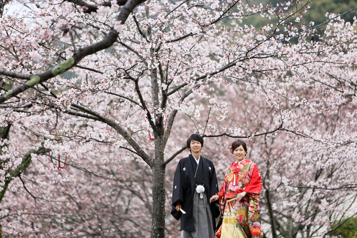 KIKIウェディングが撮影した写真のアルバム「錦帯橋」