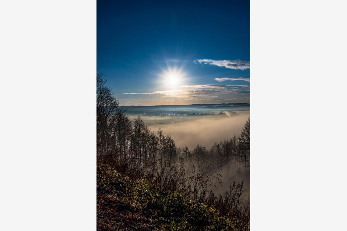 高木勇斗が撮影した「風景」の写真