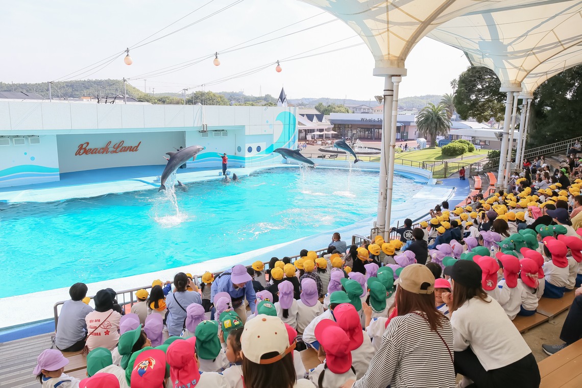 大橋　道裕が撮影した写真のアルバム「スクール・スポーツ」