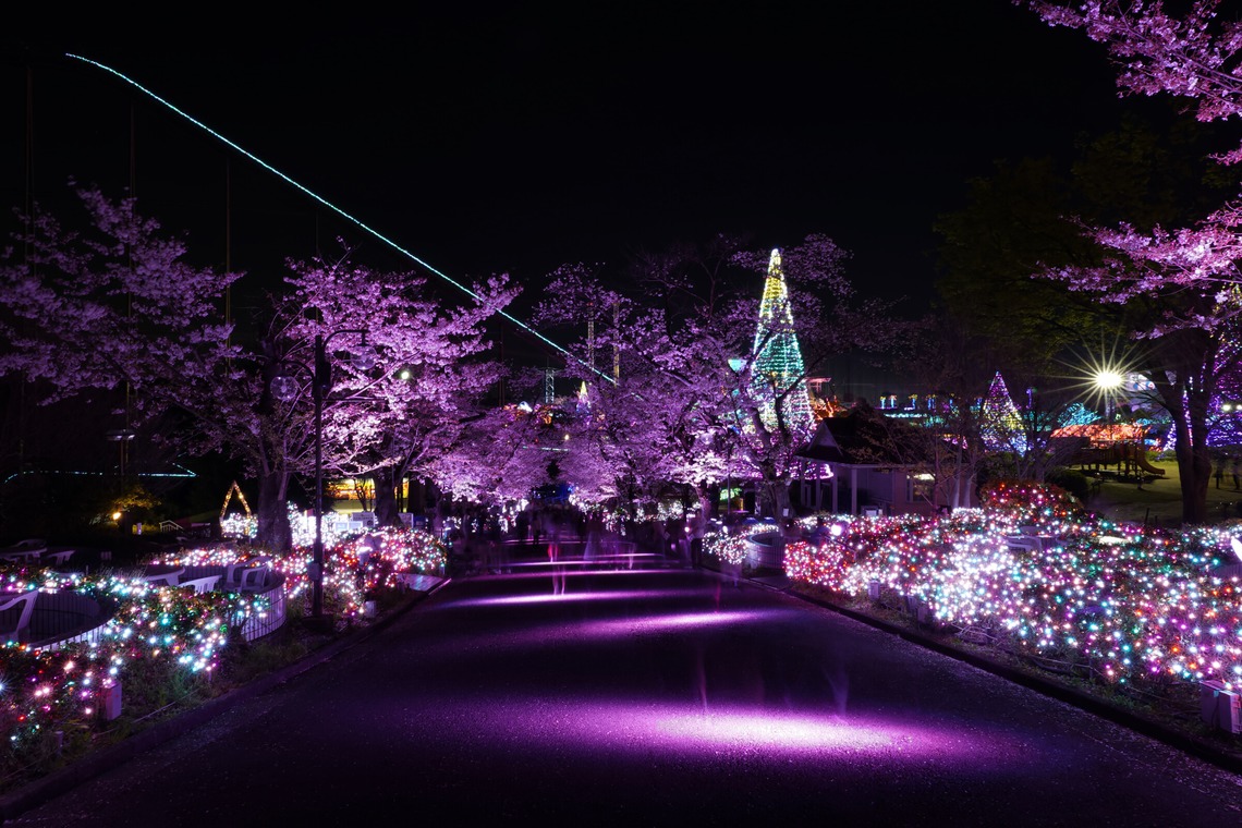 鈴木賢志が出張撮影した家族写真(キッズ,ベビーフォト)などが写った「四季折々の風景写真」の家族写真