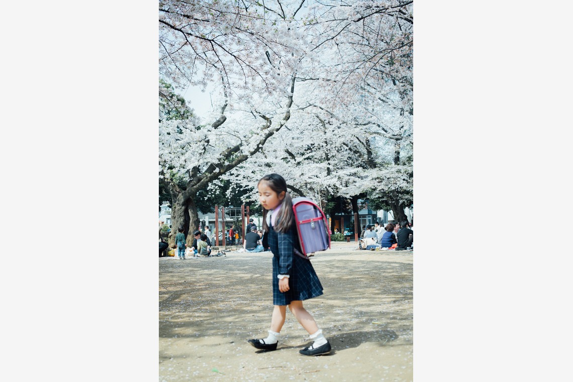 RIE NAGASHIMA photography:)が撮影した「Entrance ceremony of elementary school _2019.04」の写真