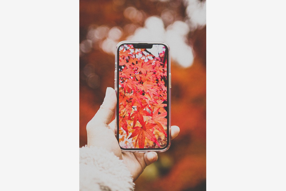 内藤駿介が撮影した写真のアルバム「風景」