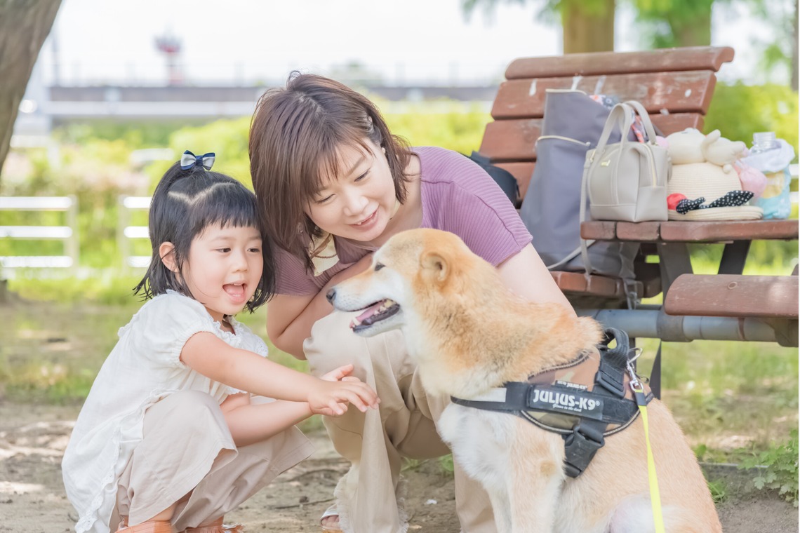 フォトスタジオ　ちっくたっく