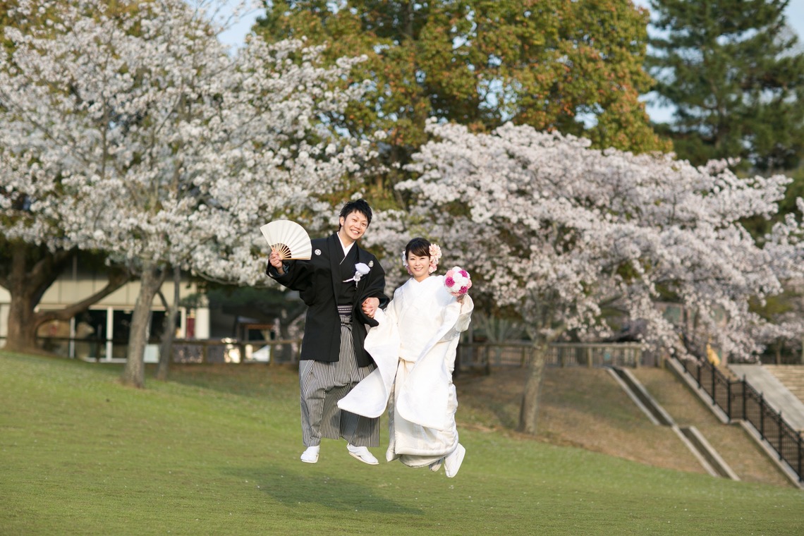 studio zeroが撮影した「奈良」の写真