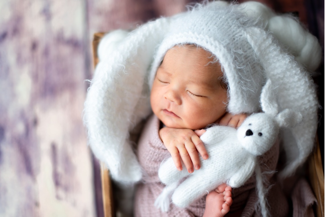 サキヤマ リエが撮影した写真のアルバム「ピンク系・うさぎのぬいぐるみ・女の子のニューボーンフォト 」