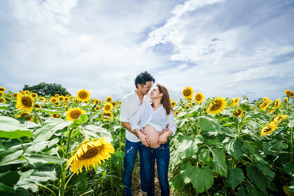 アトリエ　エピカ/清水　一哉が撮影したマタニティフォトのアルバム「ひまわり畑　マタニティ」