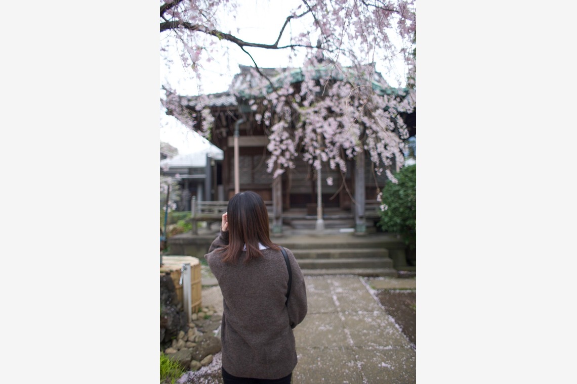 小林　幸之助が撮影した「これまでの実績」の写真