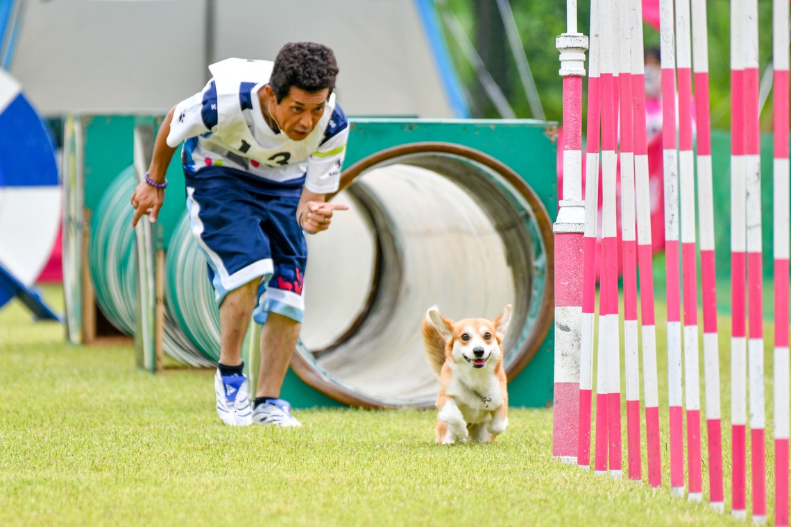 スタジオファンタスが撮影した「ドッグスポーツエクストリーム」の写真