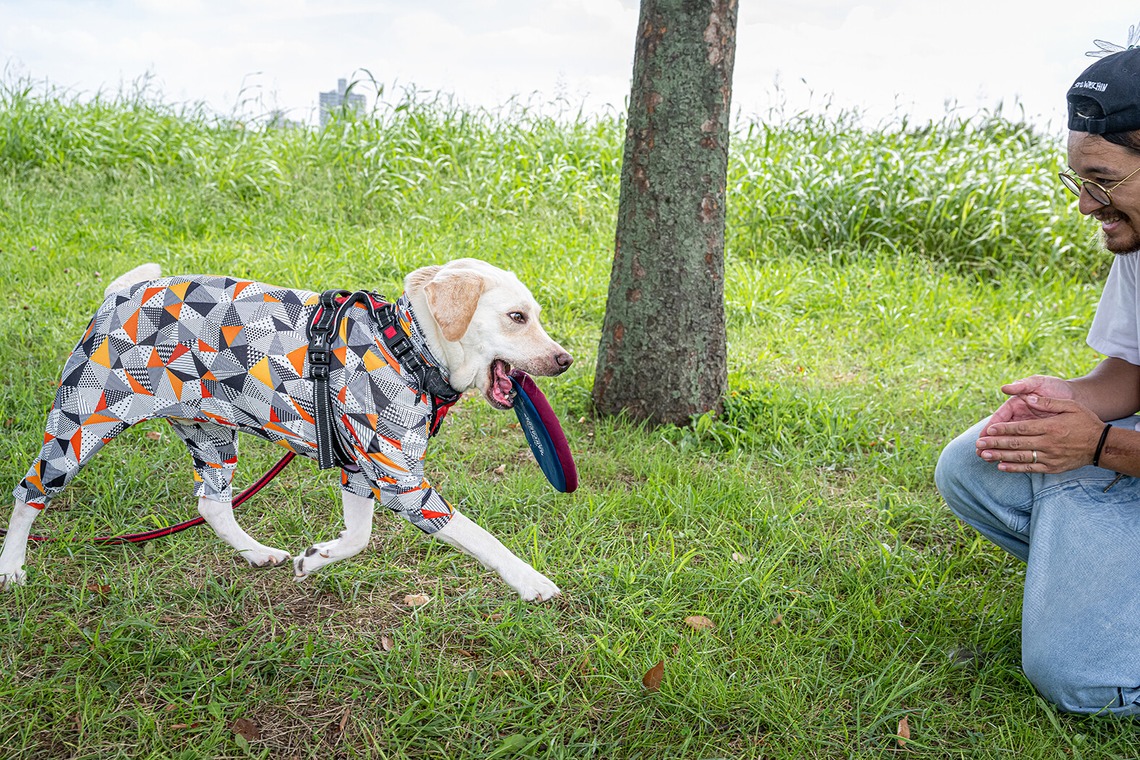吉田佳央が撮影した「DOG SHOOTING」の写真