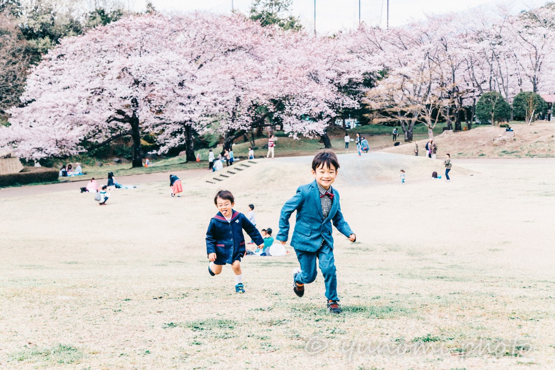 ゆのみふぉとが出張撮影した家族写真(キッズ,ベビーフォト)などが写った「桜とお写真」の家族写真